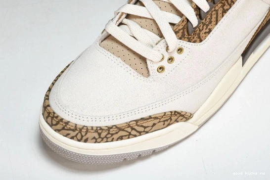 Retro Jordan  CT8532-102 CT8532-102 Palomino  3 0401